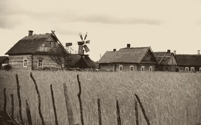 Archiwalna fotografia poleskiej wsi: chaty kryte strzechą, wiatrak i pole zboża, Sityck, około 1936 roku.